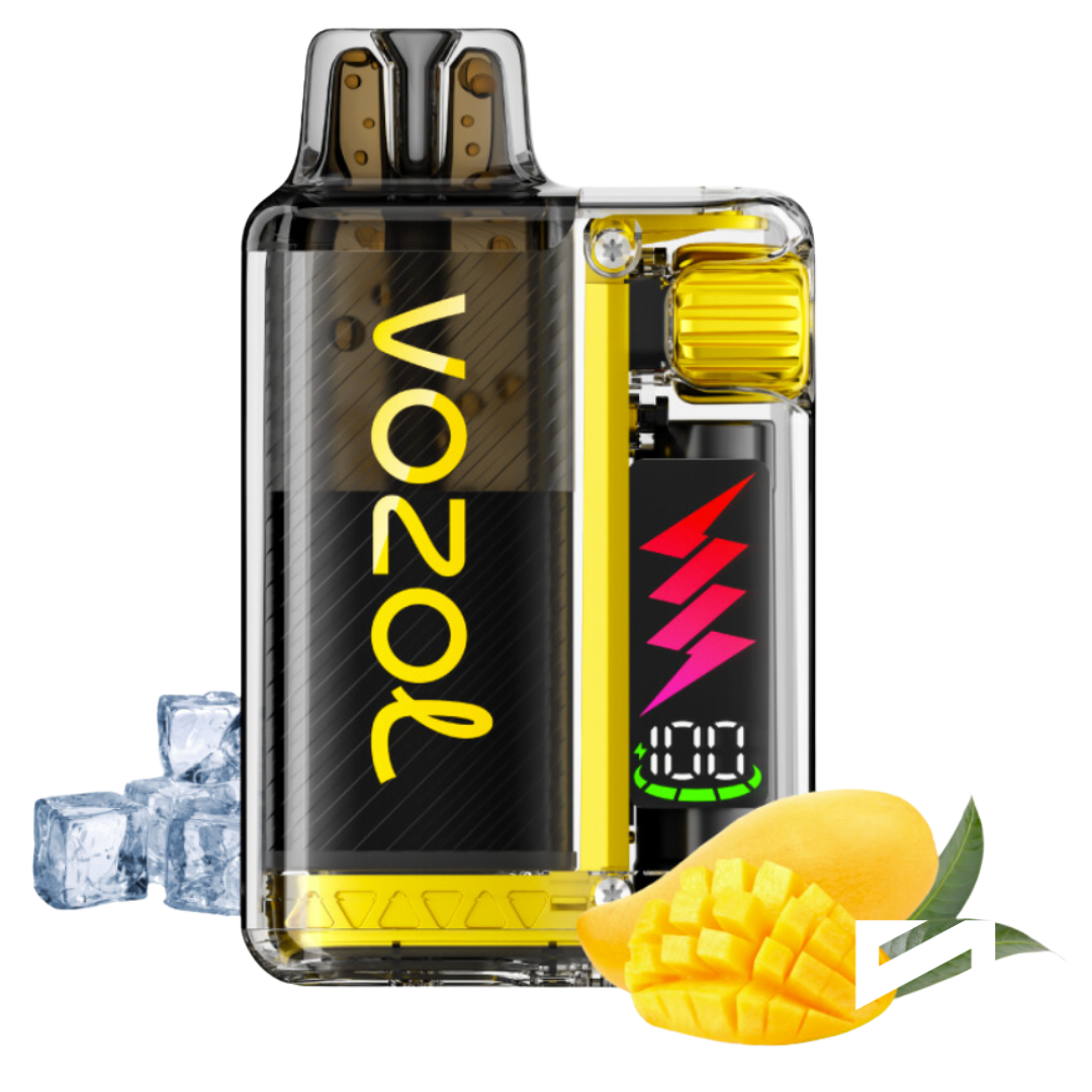 VOZOL - Vista Plug 10000 - Mango Ice