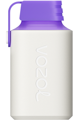 VOZOL - Gear 600 -  Forest Berry Energy