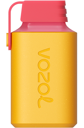 VOZOL - Gear 600 -  Kiwi Passionfruit Gauva
